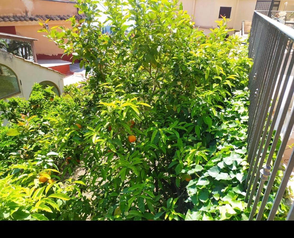 Apartment Marifra Garden Ταορμίνα Εξωτερικό φωτογραφία